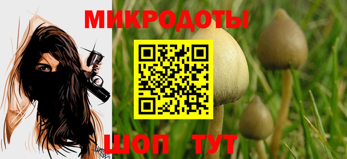 Торжок  Галлюциногенные грибы MAGIC MUSHROOMS  Псилоцибиновые грибы Psilocybe  магазин  наркотиков  Вход с VPN 