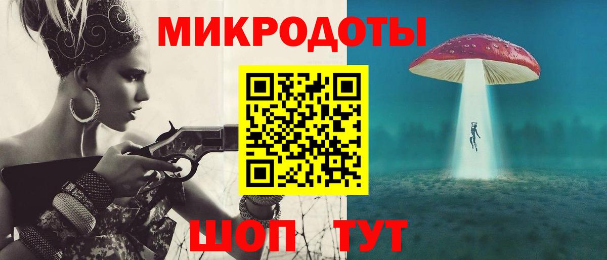 Псилоцибиновые грибы Psilocybe Торжок